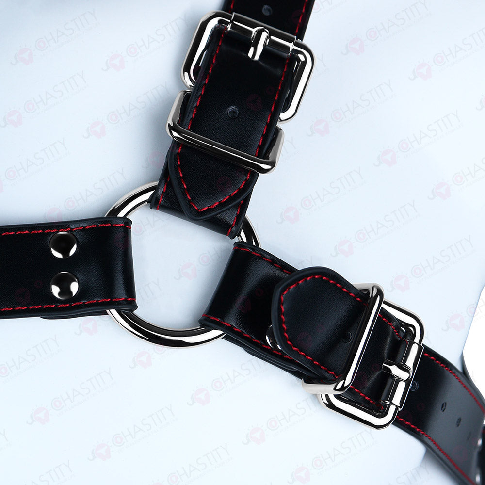 Leather Bondage Harness For Chastity Cage