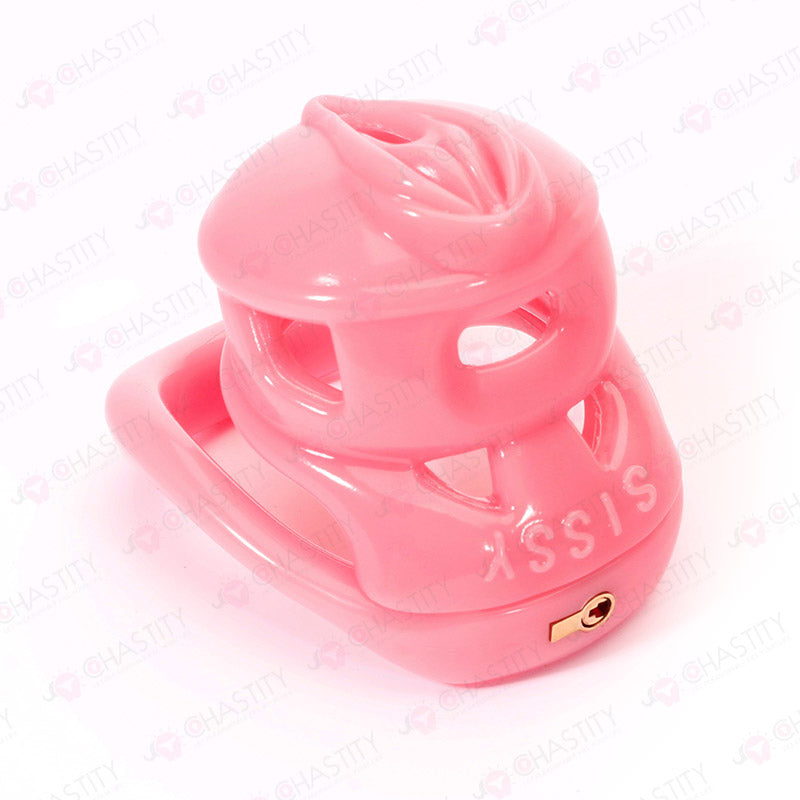 Pink Vulva Chastity Cage (Small Concealed Lock)