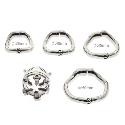 Metal Spiked Chastity Cage with Hinged Ring