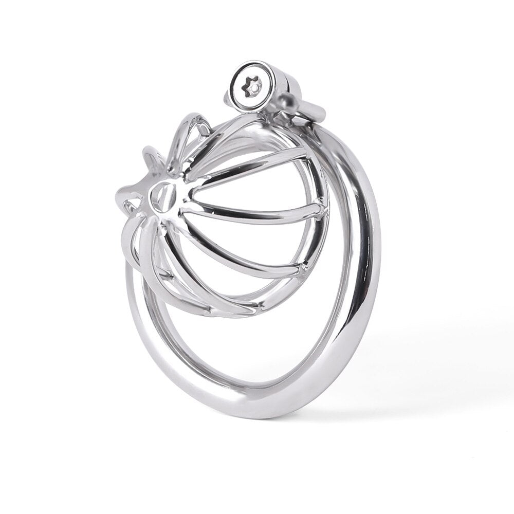 Super Small Chastity Cage For BDSM