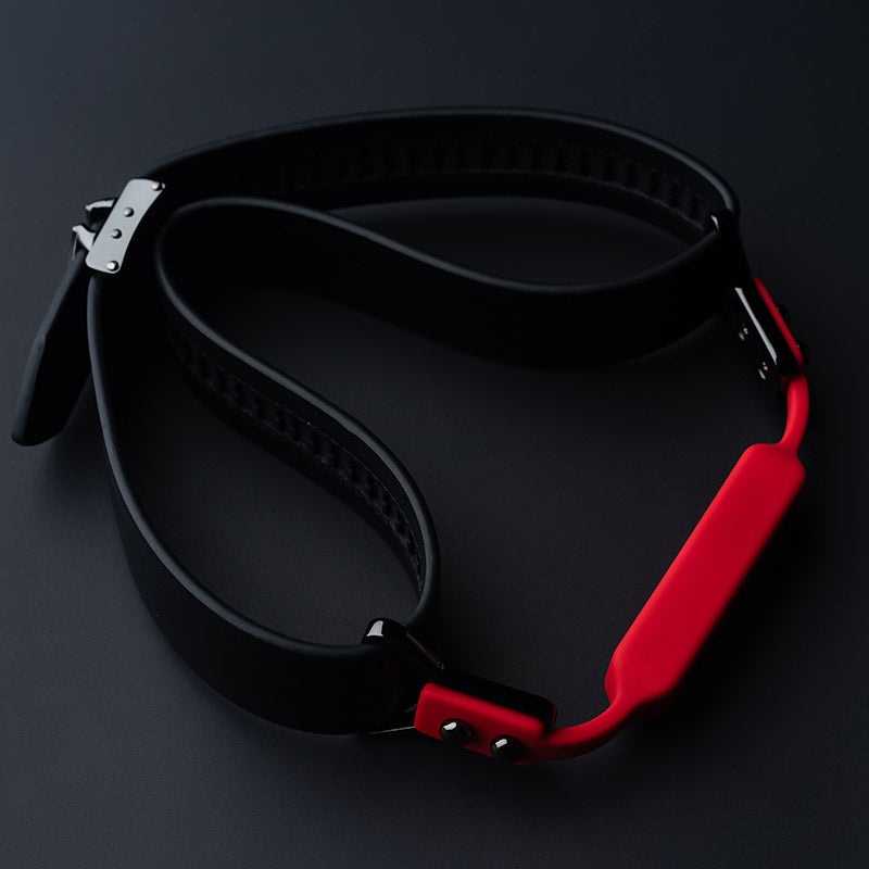 Ball Gag & Gag-Bite Set