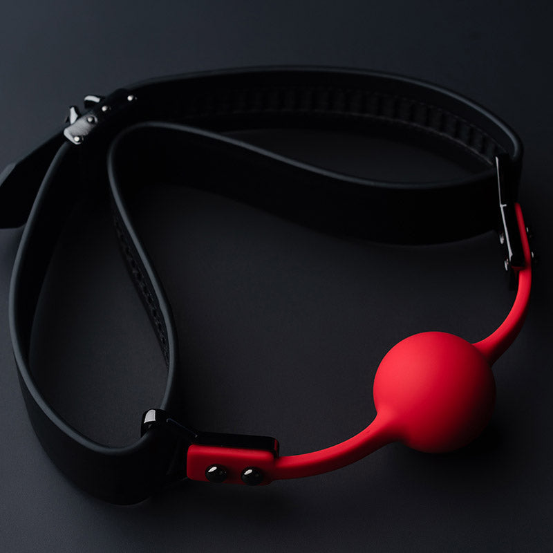 Ball Gag & Gag-Bite Set