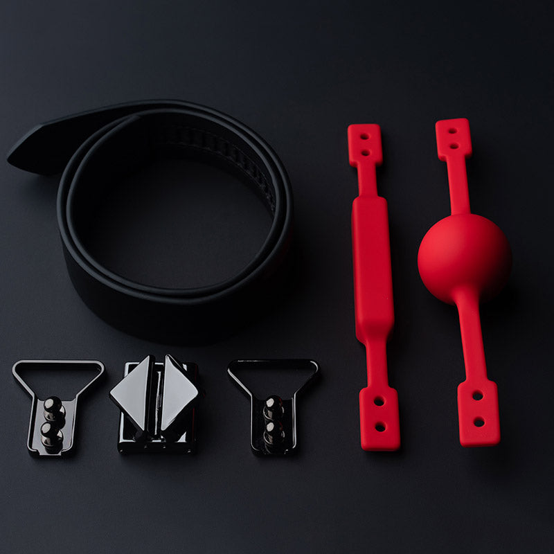 Ball Gag & Gag-Bite Set