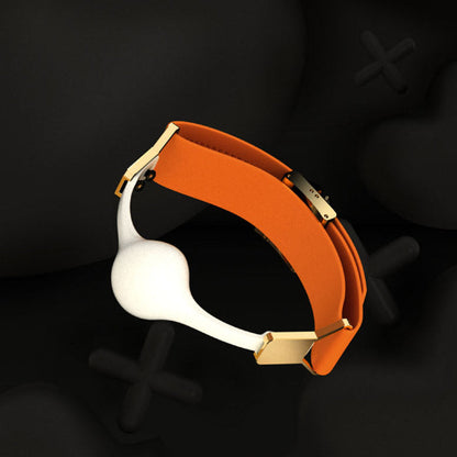 Ball Gag & Gag-Bite Set