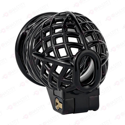 Bird Nest Headlock Chastity Cage