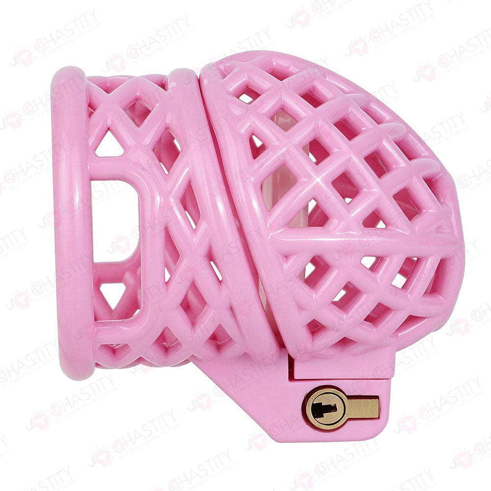 Bird Nest Headlock Chastity Cage