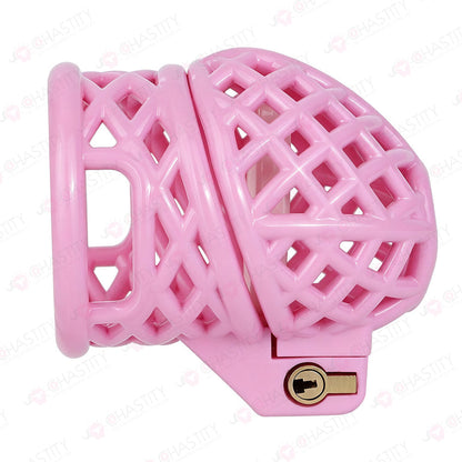 Bird Nest Headlock Chastity Cage