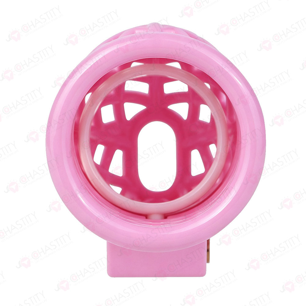 Bird Nest Headlock Chastity Cage