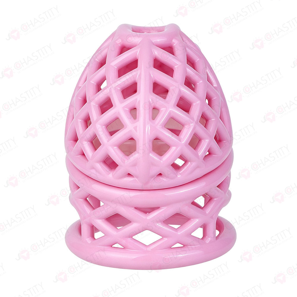 Bird Nest Headlock Chastity Cage