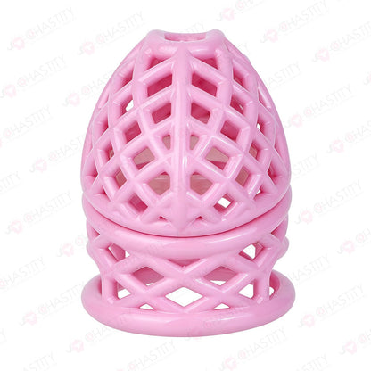 Bird Nest Headlock Chastity Cage