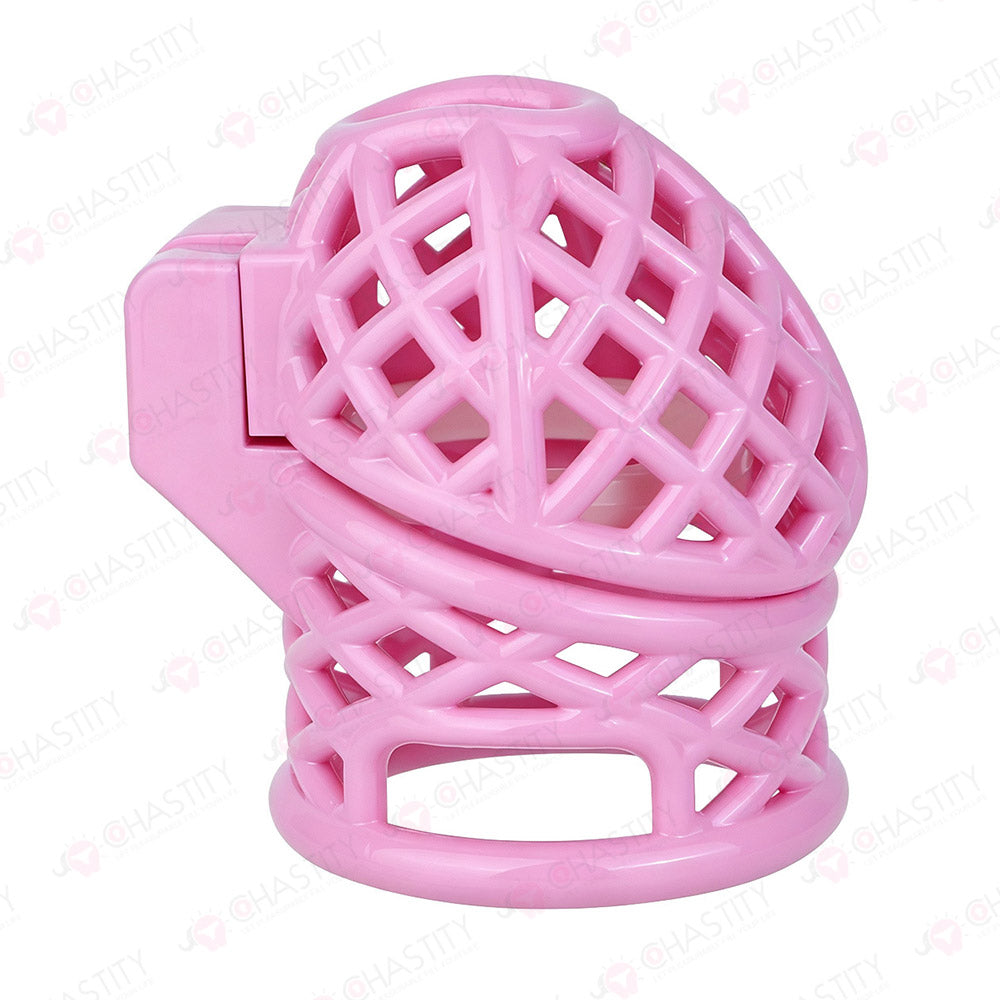 Bird Nest Headlock Chastity Cage