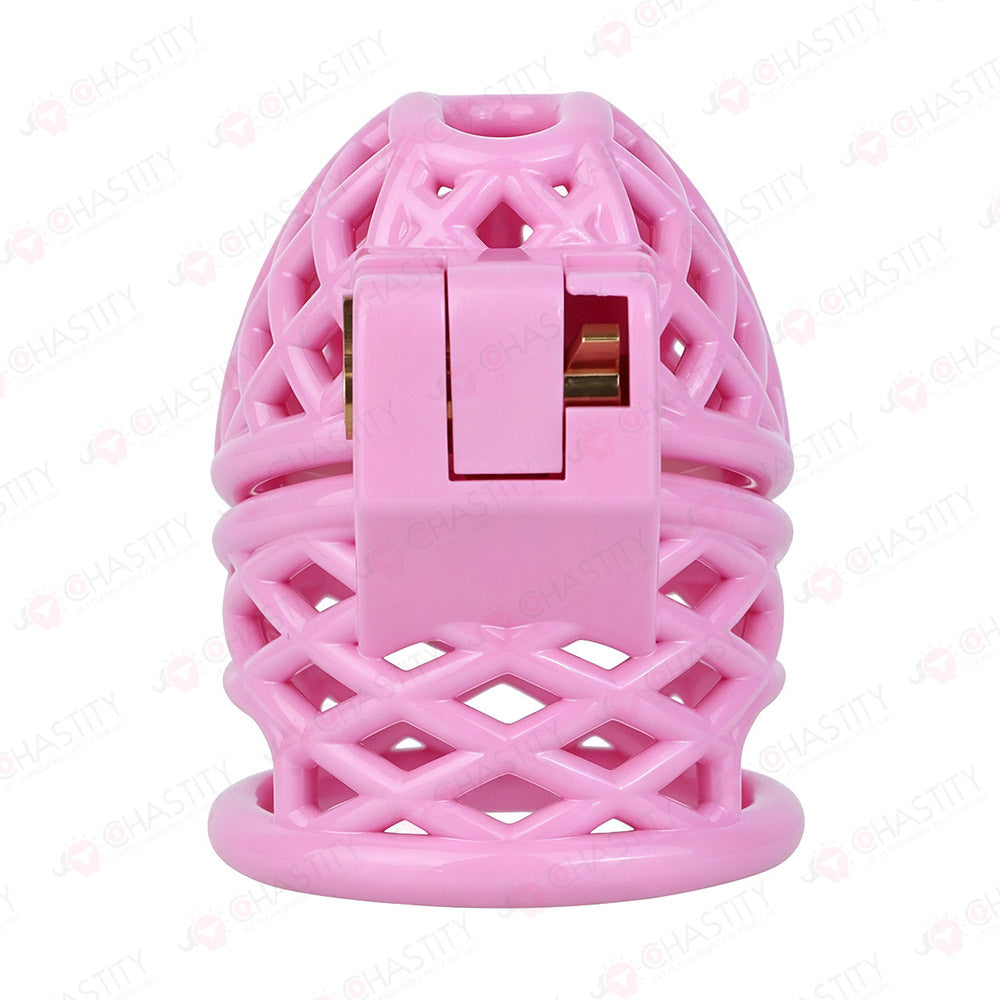 Bird Nest Headlock Chastity Cage