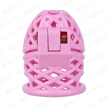 Bird Nest Headlock Chastity Cage