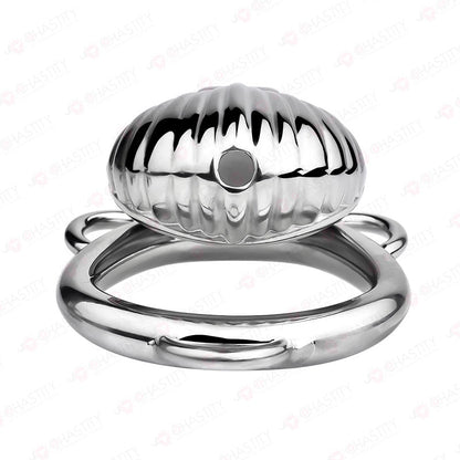 Cage Of Shame Chastity (Shell)