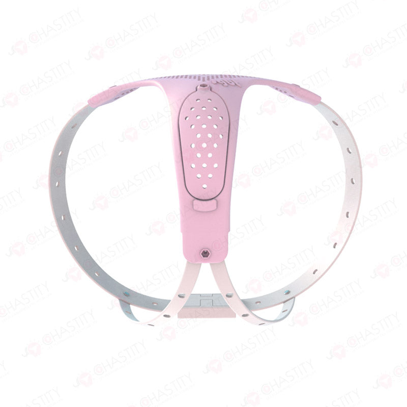 Chastity Belt For Wife
