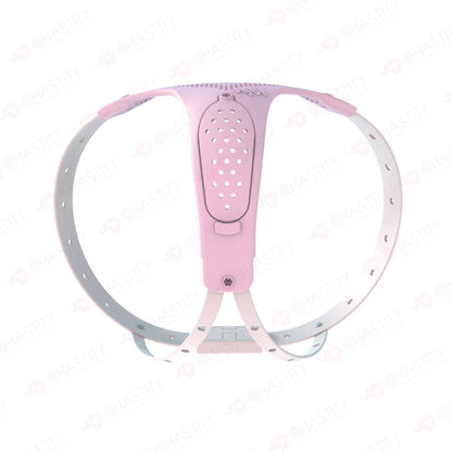 Chastity Belt For Wife