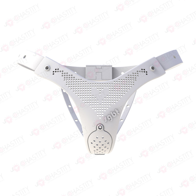 Chastity Belt For Wife