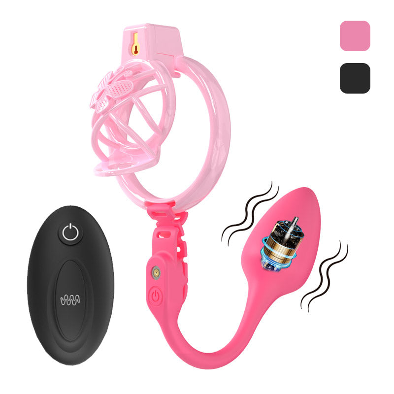 Chastity Cage Humiliation With Remote Controlled Butt Plug