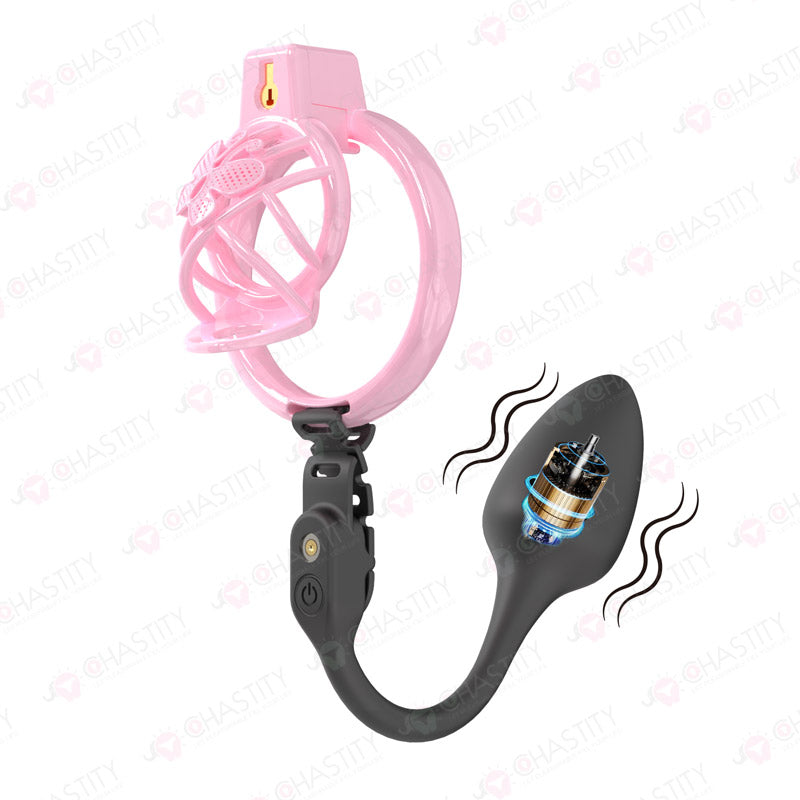Chastity Cage Humiliation With Remote Controlled Butt Plug