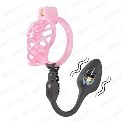 Chastity Cage Humiliation With Remote Controlled Butt Plug