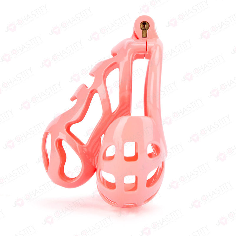 Chastity Cage With Ball Cage