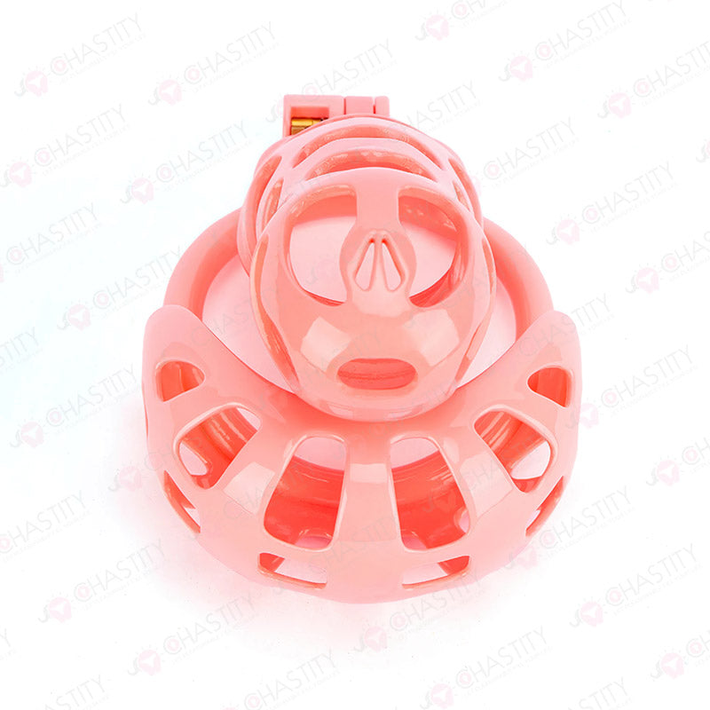 Chastity Cage With Ball Cage
