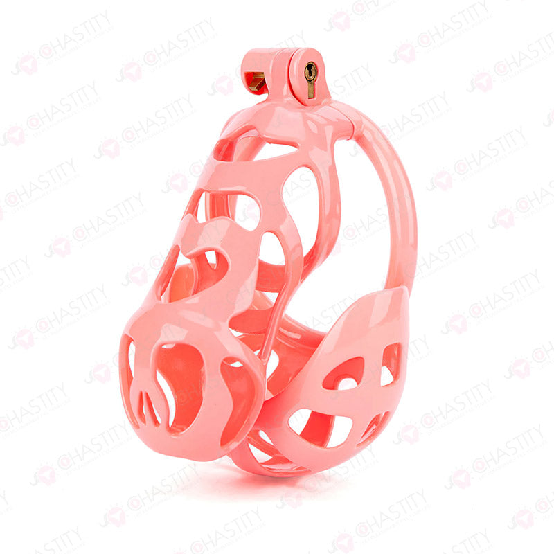 Chastity Cage With Ball Cage