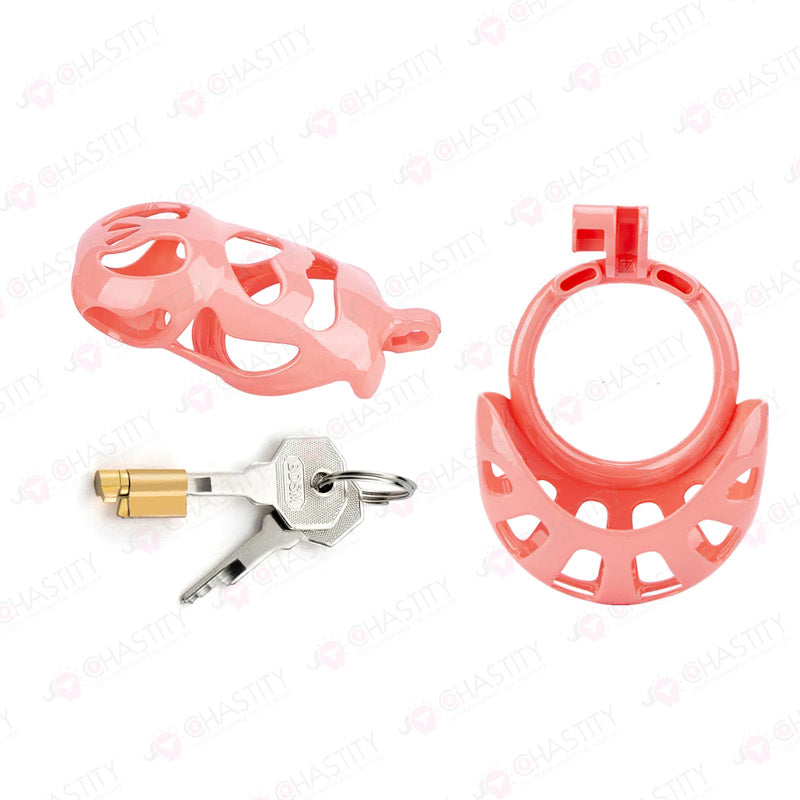 Chastity Cage With Ball Cage