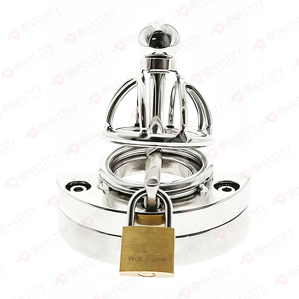 Chastity Cage With Ball Stretcher