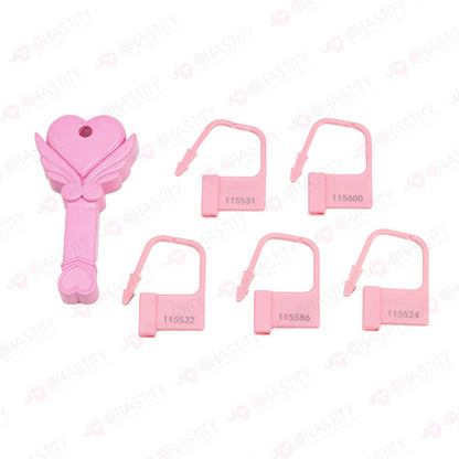 Chastity Key Lock Box