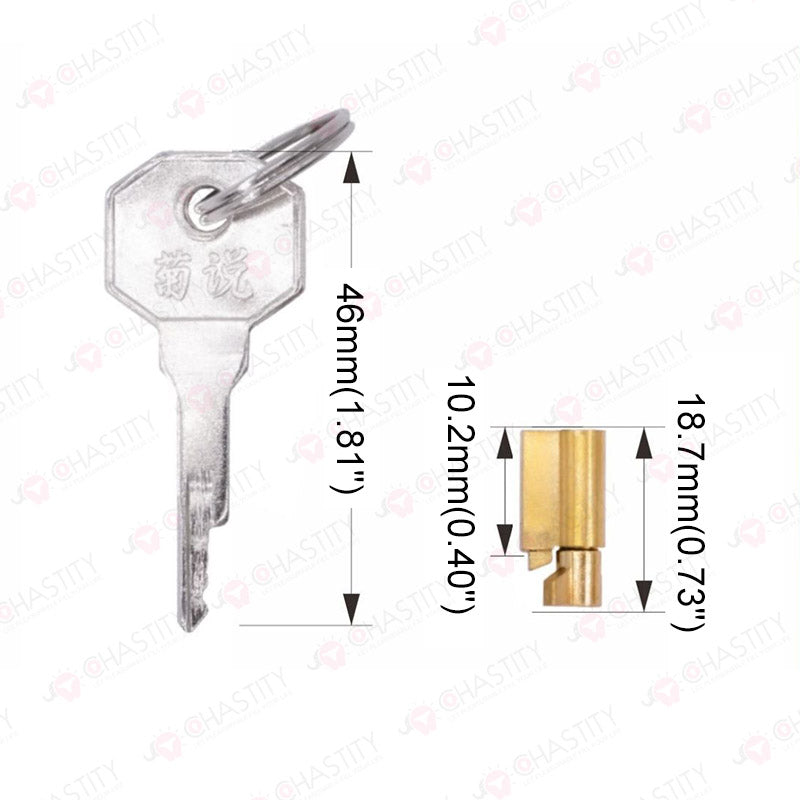 Chastity Key Necklace