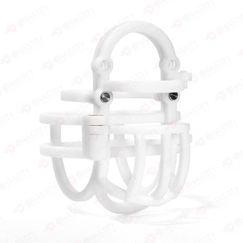 Detachable Full Chastity Bondage (Penis & Balls)