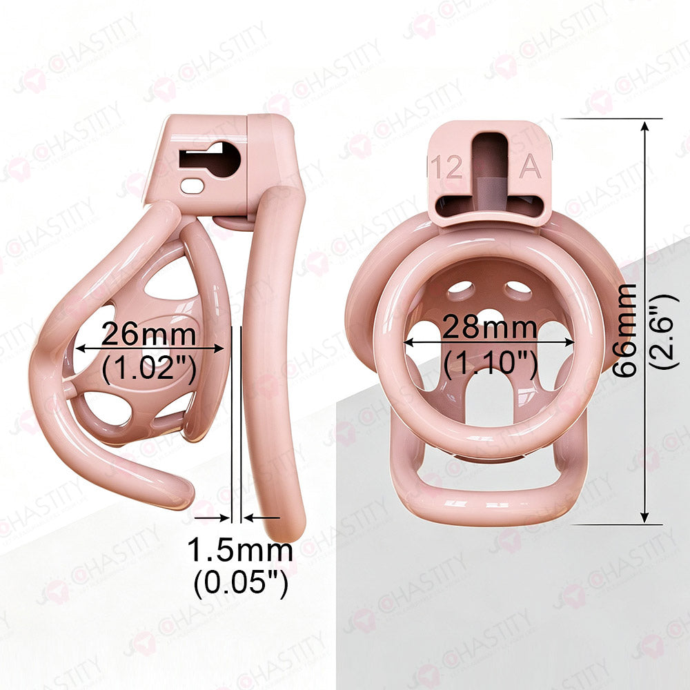 Double Bar Chastity Cage with Detachable Silicone Studs
