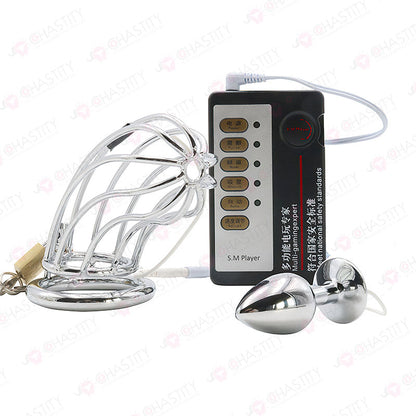 E-Stim Penis & Butt Plug Combo