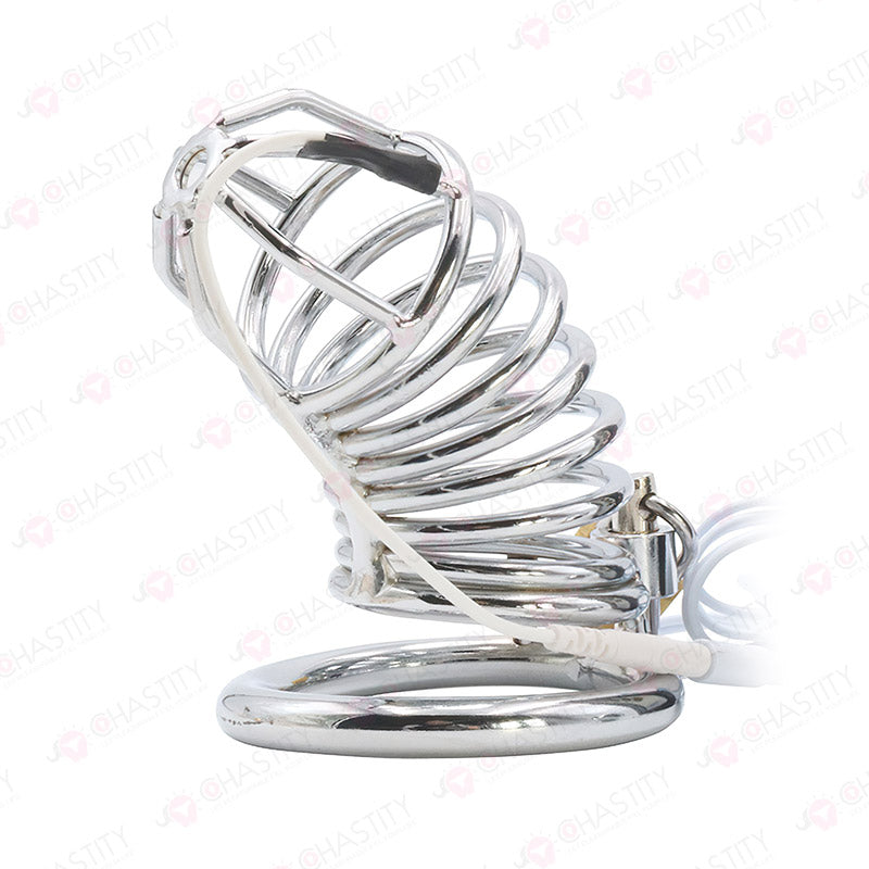 E-Stim Penis & Butt Plug Combo