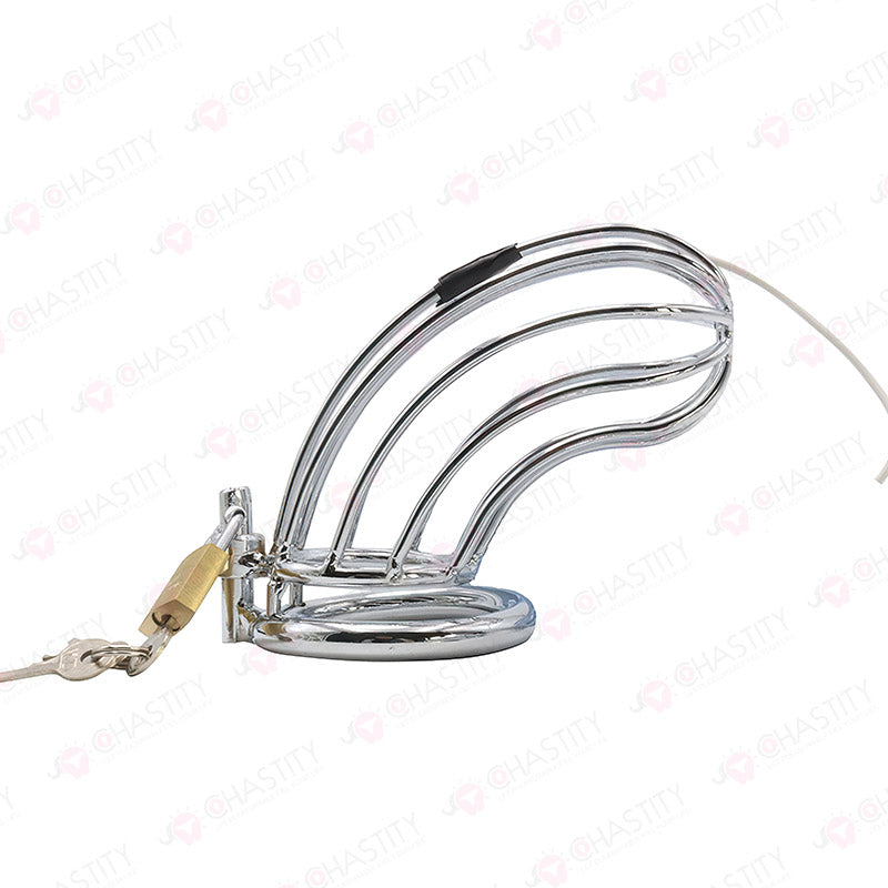 E-Stim Penis & Butt Plug Combo