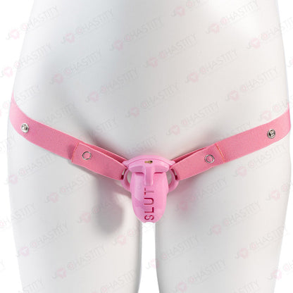 Extreme Humiliation Chastity Cage Slut
