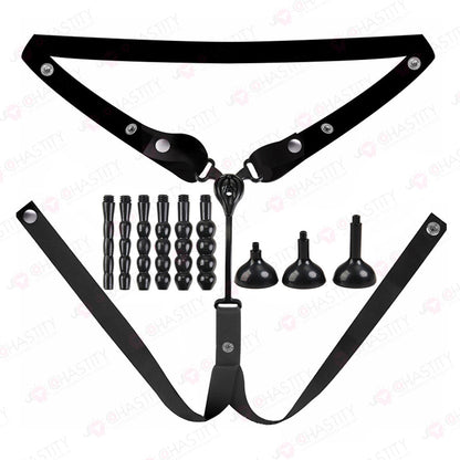 Feminization Chastity Device With Urethral Insert