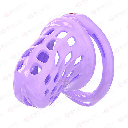 Fitting Chastity Cage - Hidden Lock Cylinder
