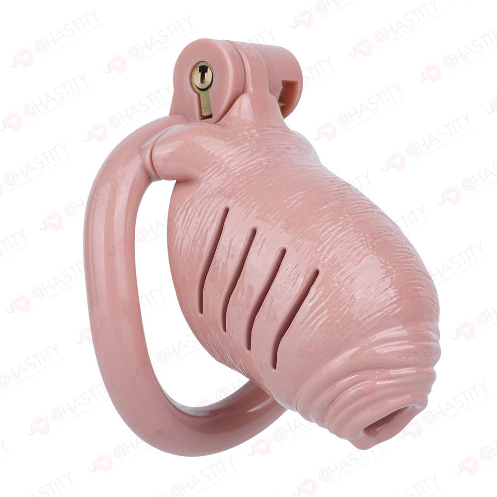 Full Time Foreskin Style Chastity Cage