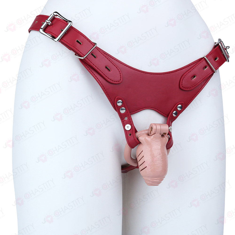 Full Time Foreskin Style Chastity Cage