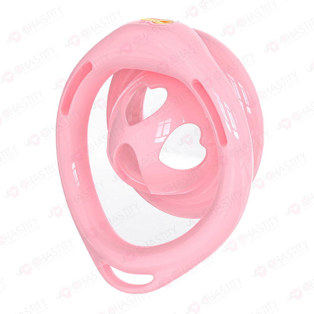 Inside-Out Reverse Wear Chastity Cage