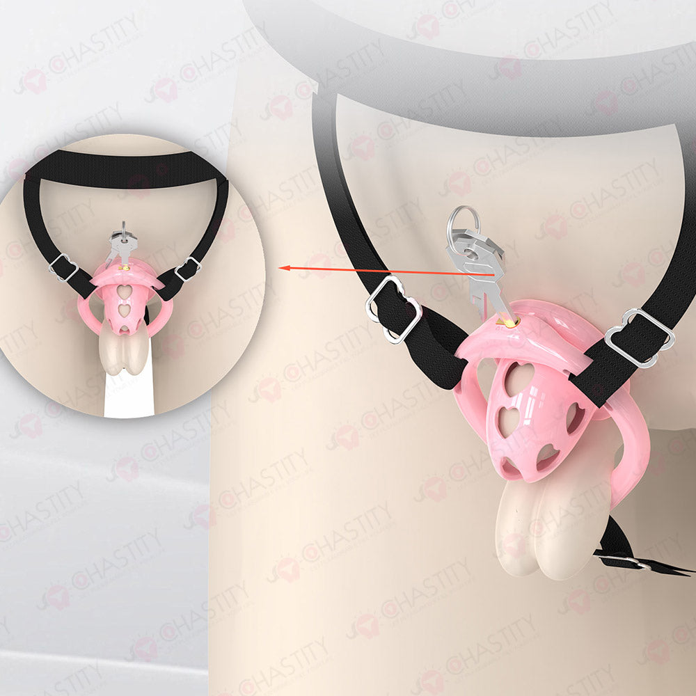 Inside-Out Reverse Wear Chastity Cage