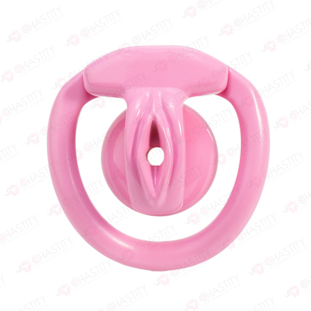 Inverted Crossdressing Chastity Pussy