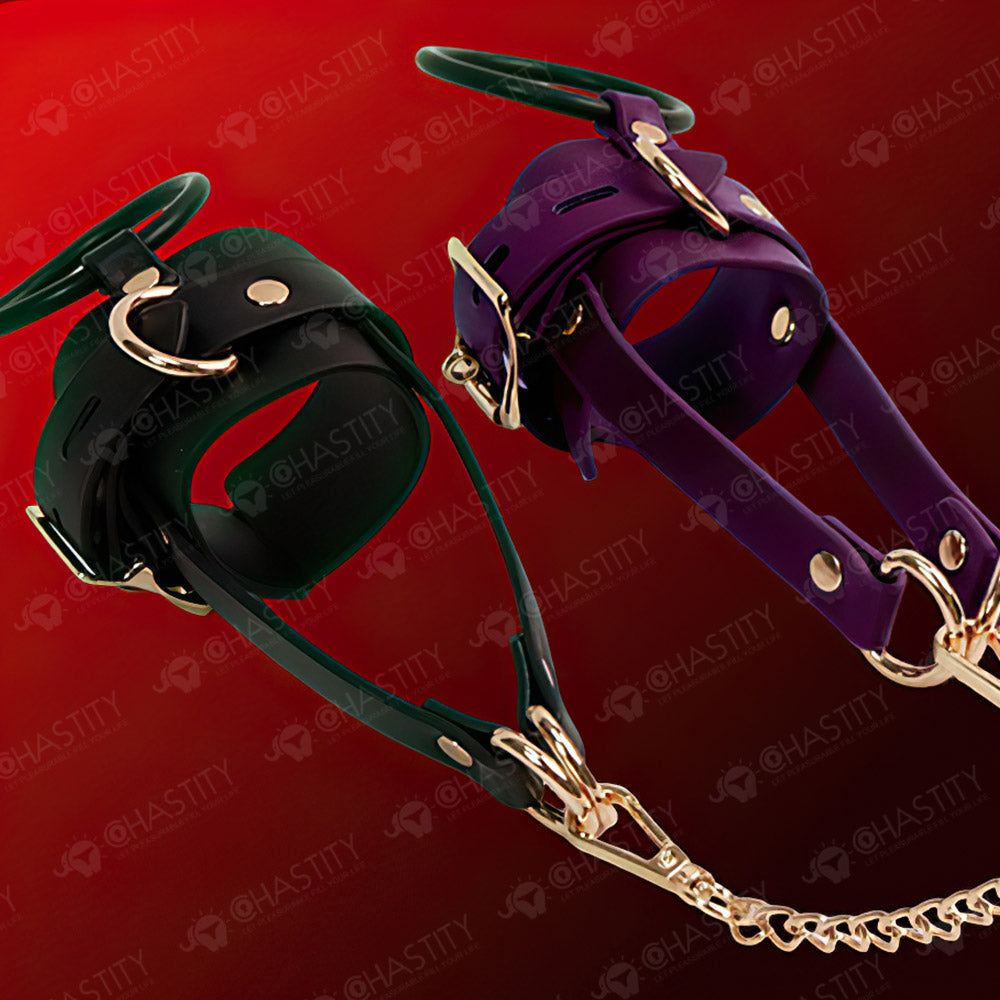 Leather Chastity Cage with Leash
