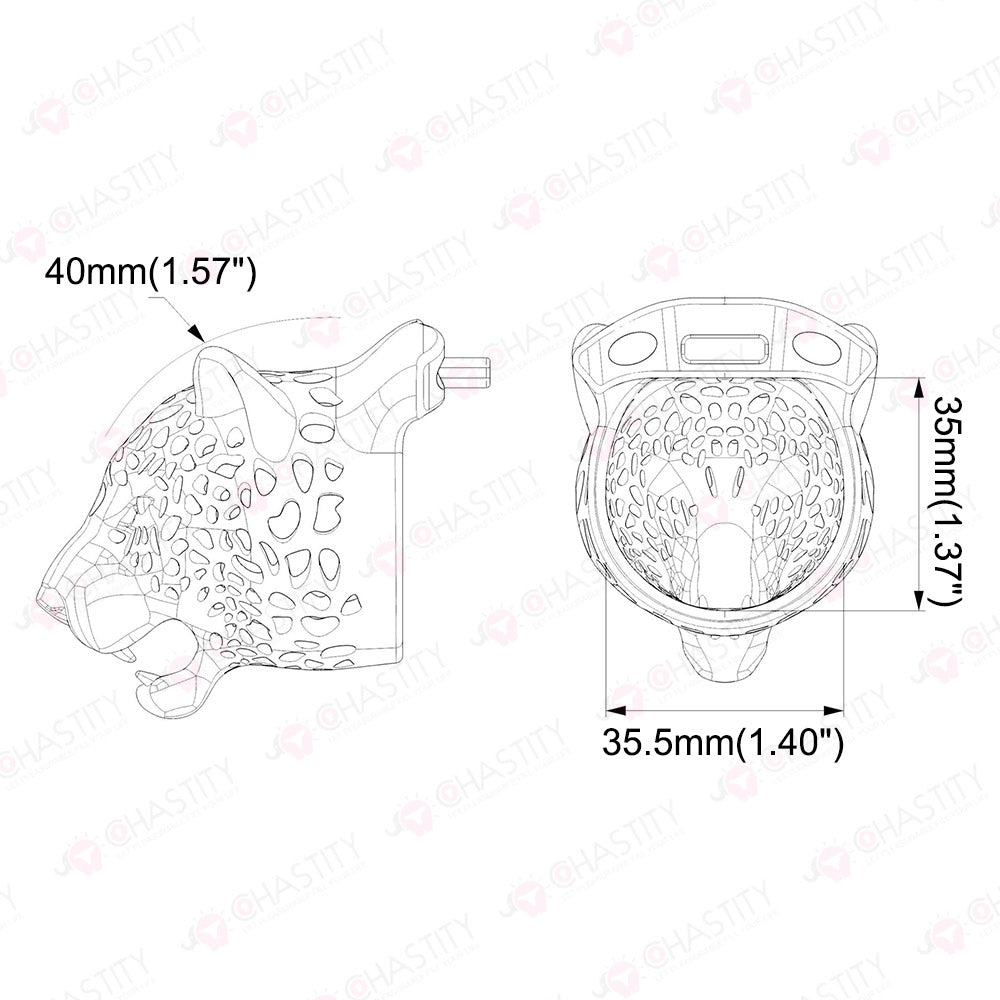 Leopard Male Genital Cage