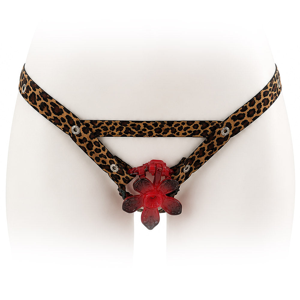 Leopard Print Elastic Chastity Cage Holder