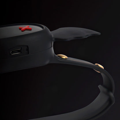 Electric Shock Collar