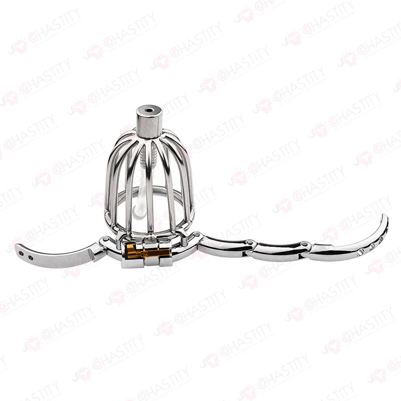 Male Bird Cage With Adjustable Chastity Ring Size
