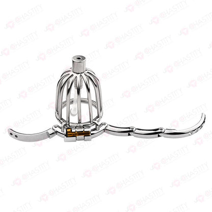 Male Bird Cage With Adjustable Chastity Ring Size